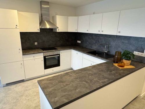 apartment-2-kochen
